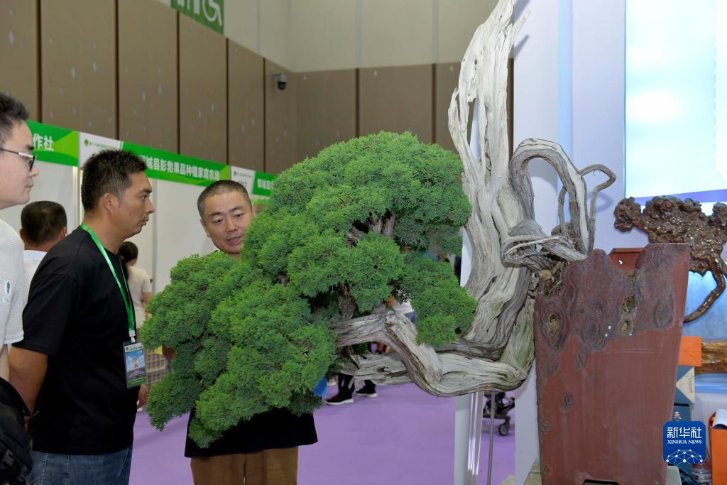 申博管理网